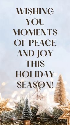 a christmas card with the words wishing you moments of peace and joy this holiday season