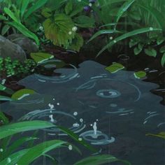 a painting of water surrounded by green plants and rocks in the middle of a pond