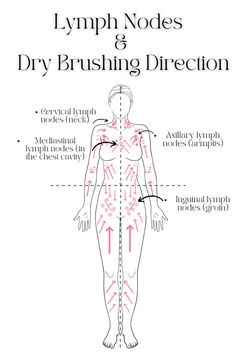 How To Dry Brush, دورة شهرية, Dry Brush