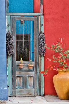 a potted plant sitting in front of a wooden door