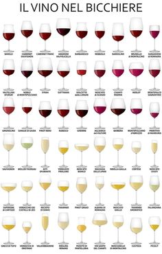 wine glasses with different wines in them and the names on each glass, all lined up