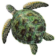 a green sea turtle painted in watercolor