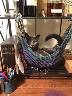 a cat sitting in a hammock on top of a desk next to books