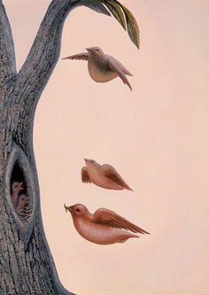 an image of birds flying around a tree