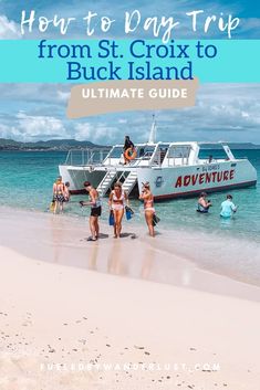 Tour group descending from catamaran onto Buck Island's Turtle Beach St Croix Virgin Islands, Virgin Islands Vacation, St Croix Usvi, The Us Virgin Islands, Best Snorkeling, St. Croix, Caribbean Vacations, Us Virgin Islands, St Croix