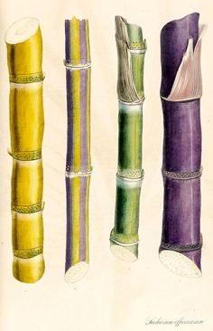 four different types of decorative vases in various colors and sizes, including purple, green, yellow, and white