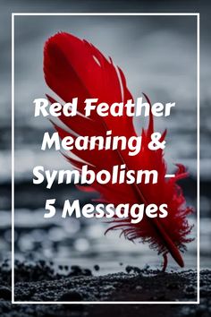 a red feather sitting on top of a beach next to the words, red feather meaning and symbolism - 5 messages