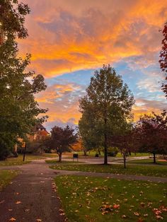 the sun is setting over a park with many trees and leaves on the ground in front of it