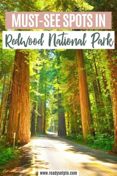 Must-See Spots in redwood National Park Outfits Los Angeles, Los Angeles Aesthetic, California Roadtrip, Redwood National Park, National Parks Photography, California Outfits