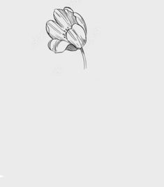 a black and white drawing of a flower