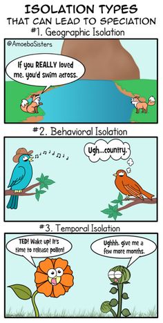 the comic strip shows two different types of flowers and birds, one is talking to each other