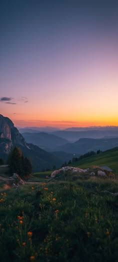 the sun is setting in the mountains with grass and flowers on the ground below it