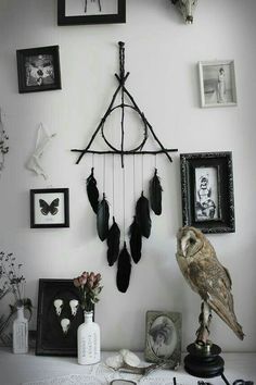 an owl is sitting on a table next to some pictures and other things that are hanging from the wall