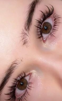 Natural Fake Eyelashes, Beautiful Eyes Color, Perfect Eyelashes, Pretty Lashes, Long Eyelashes, Beauty Goals, Aesthetic Eyes, Longer Eyelashes