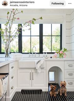 two small dogs sitting in the middle of a black and white tiled floored kitchen