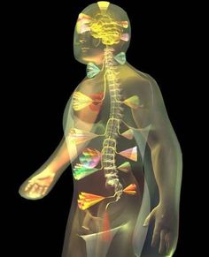 CHAKRAS.........PARTAGE OF GRANDE FRATERNIDADE BRANCA..........ON FACEBOOK......... Le Mal A Dit, Love Chakra, Manipura Chakra, Cosmic Energy