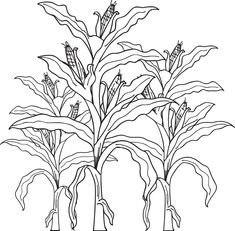 FREE Printable Corn Stalks Fall Coloring Page for Kids Fall Sketches, Artsy Crafts, Fathers Day Coloring Page, Thanksgiving Coloring, Fall Coloring, Pencil Sketching, Farm Animal Coloring Pages