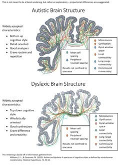 Dislexia y autismo: perfiles cognitivos en los extremos del mismo espectro - Autismo Diario Dyslexic Students, Brain Structure, School Psychology, Speech Language Therapy, Spectrum Disorder, Learning Disabilities, Reading Strategies, Mental And Emotional Health, Neuroscience