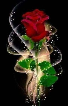 a red rose sitting on top of a glass vase with water droplets around it's petals