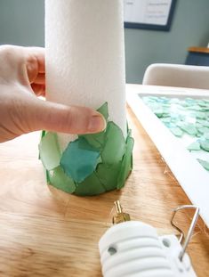 a person is holding a roll of toilet paper