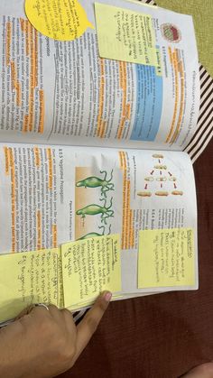 two pages of paper with different types of plants on them, one being held up by someone's hand