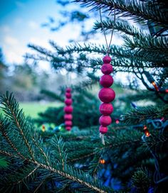 red ornaments hanging from the branches of a pine tree