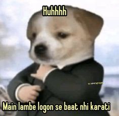 a dog wearing a suit and tie with the caption main lambe loon se bat ni karaci