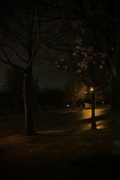 a dark street at night with some trees in the foreground and one light on