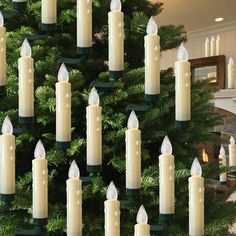 many lit candles are placed in front of a christmas tree with lights on each candle