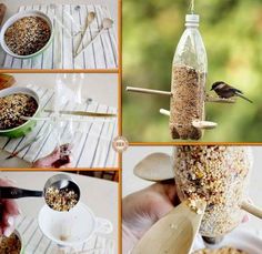 a collage of pictures showing how to make bird seed feeders