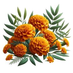 orange flowers with green leaves on a white background