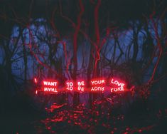 red neon signs that say i want to be your love and not for you in the dark