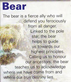 Bear spiritual guide More Bear Quotes Spirit, Spirit Animal Bear