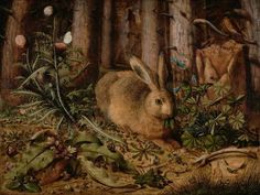 a painting of a rabbit in the woods with other animals and plants around it by itself