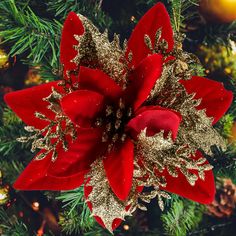 a red and gold poinsettia sitting on top of a christmas tree