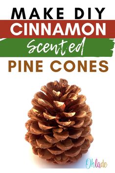 a pine cone with the words make diy cinnamon scented pine cones