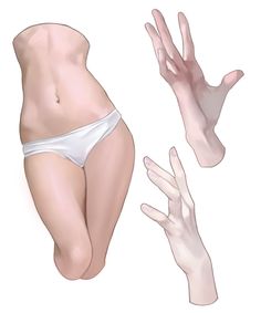 4 People Pose Reference, Belly Reference, Base Art Pose Reference, Body Rendering, Body Digital Art, Colouring Reference, Anime Anatomy, Shading Practice, Sketch Practice