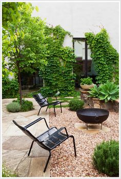 an outdoor garden with chairs and plants