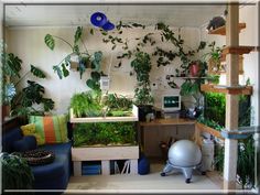 a living room filled with lots of plants