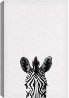 a zebra standing in front of a white wall with its head turned to the side