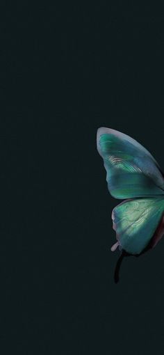 a green butterfly flying in the dark sky