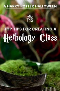 the top tips for creating a herby class