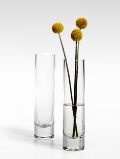 two vases with yellow flowers in them on a white surface, one is empty and the other has water