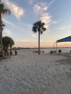 a beach with palm trees and people on it