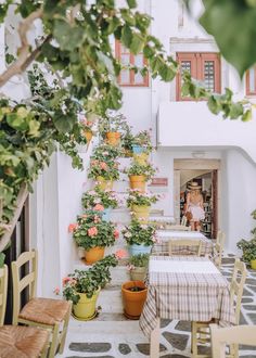 an outdoor dining area with potted plants and tables