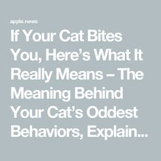 the words if your cat bites you, here's what it really means