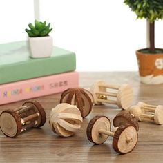 several wooden toy wheels on a table next to a potted plant