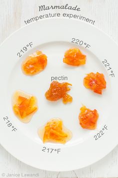 small pieces of fruit are arranged on a white plate, labeled with the names of each type