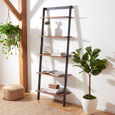 a living room with a ladder shelf and potted plants on the floor next to it