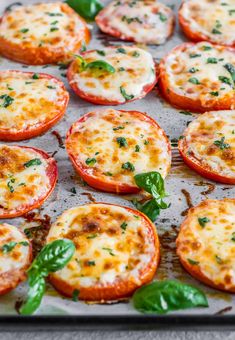 baked tomatoes with cheese and basil on a baking sheet